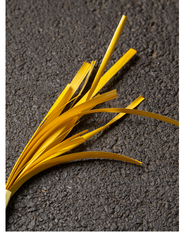 Yellow flaten Rye straw