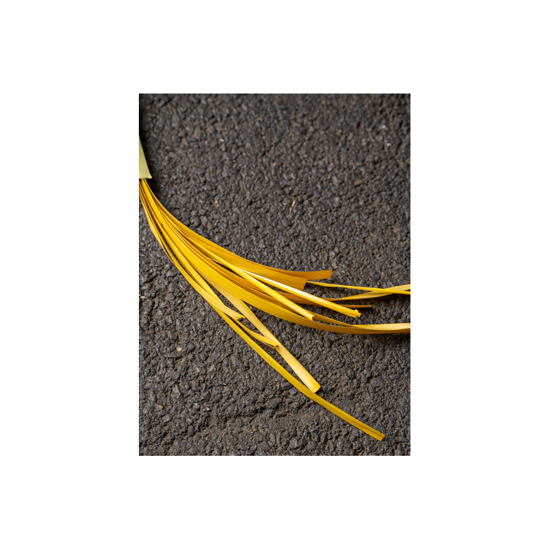 Paille de seigle jaune aplanie