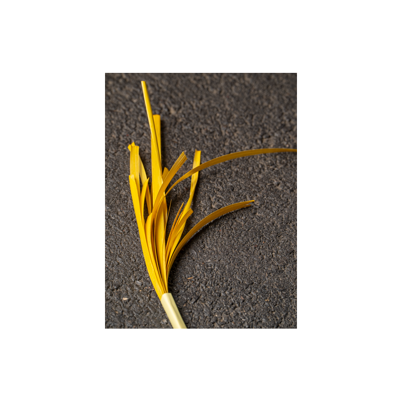 Yellow flaten Rye straw