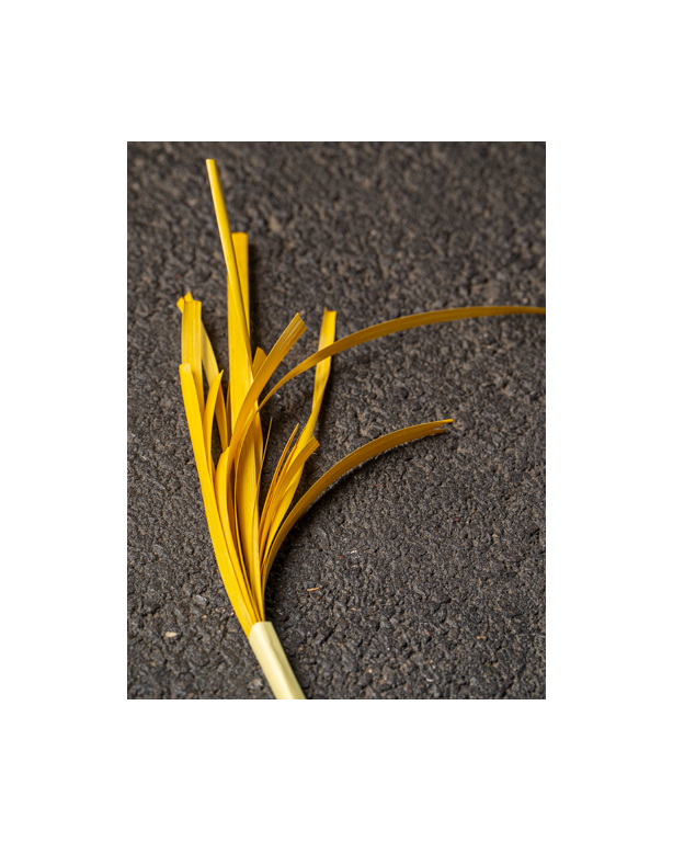 Yellow flaten Rye straw