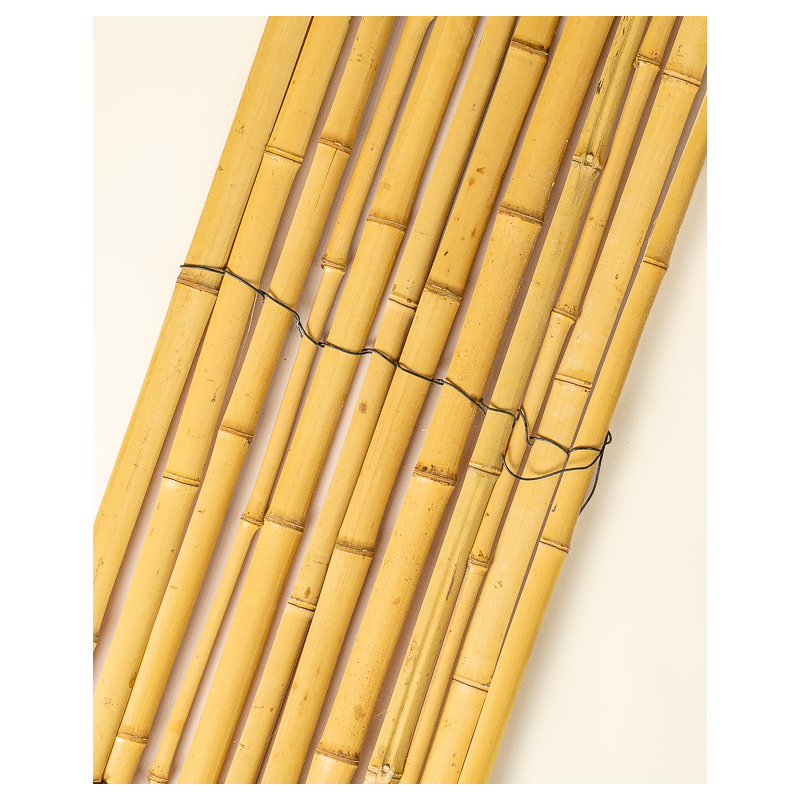 Protection & Palissade Bambou 200cm