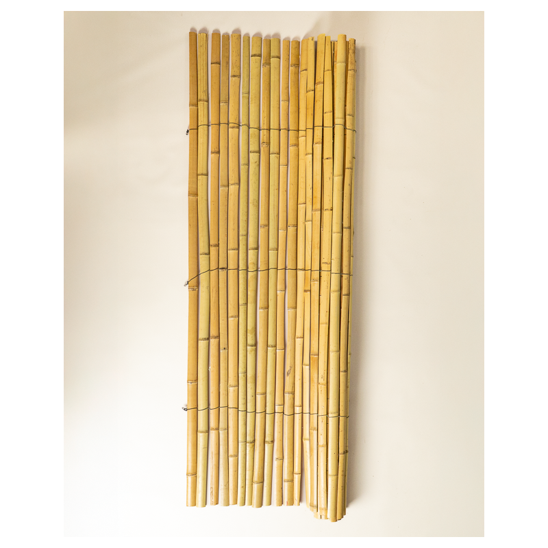 Protection & Palissade Bambou 200cm