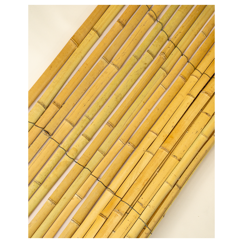 Protection & Palissade Bambou 200cm