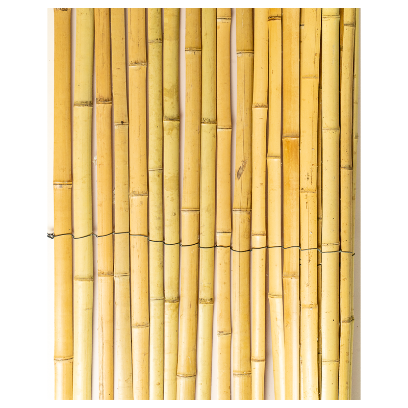 Bamboo Guard & Fence 200cm