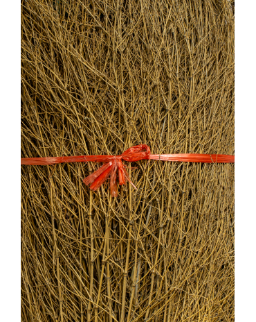 Bambou Broussaille 150/200cm 