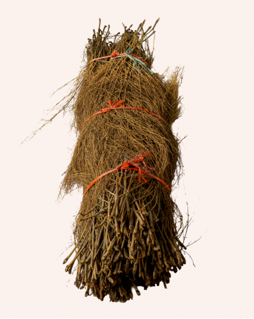 Thicket Bamboo 