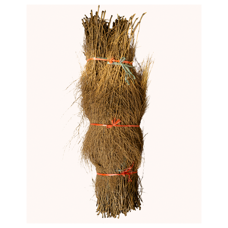 Bambou Broussaille 150/200cm 