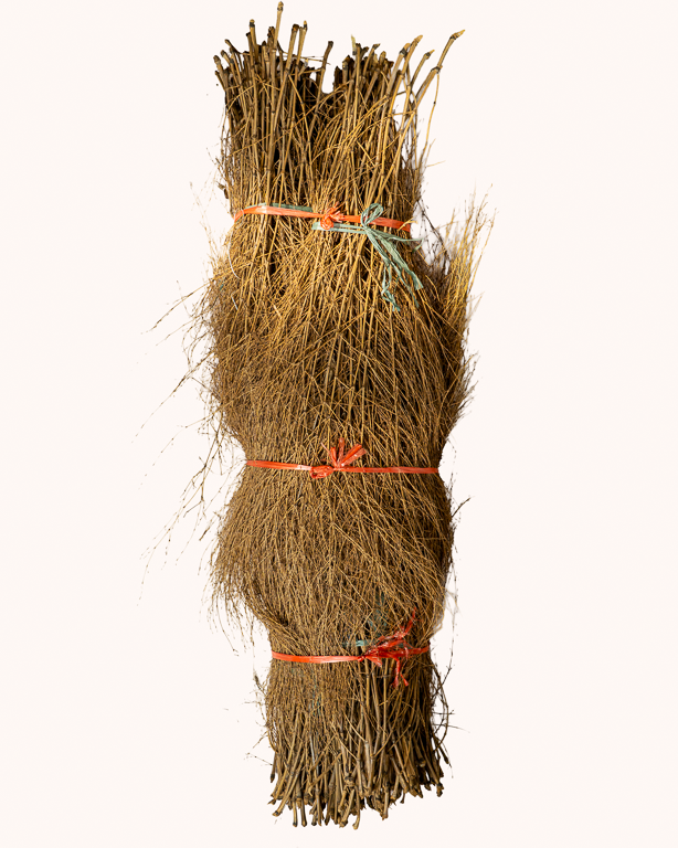 Bambou Broussaille 150/200cm 