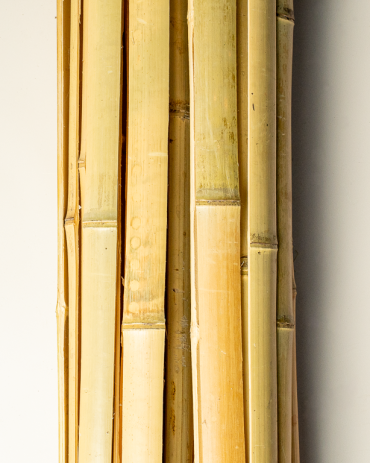 Natural Bamboo Slat