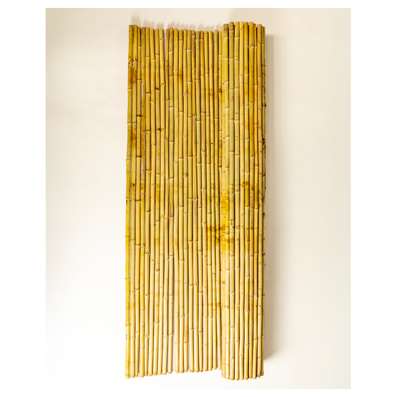 Palissade Bambou Rond 180x180cm