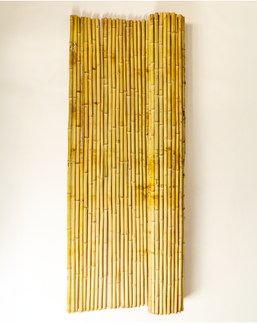 Palissade Bambou Rond 180x180cm