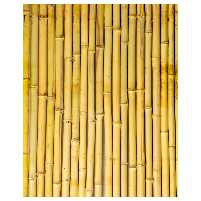 Palissade Bambou Rond 180x180cm