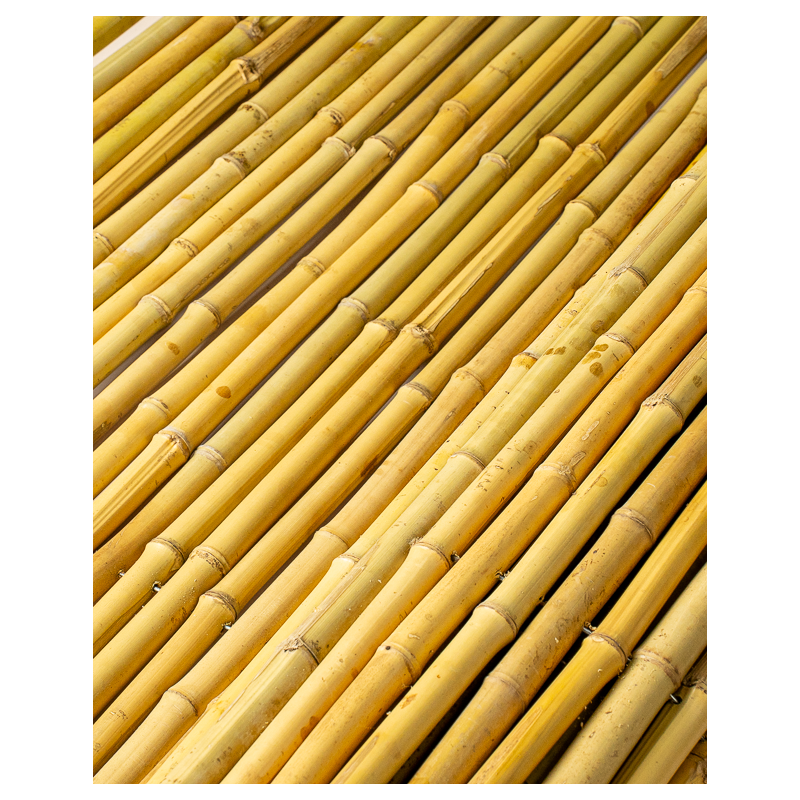 Round Bamboo Fence