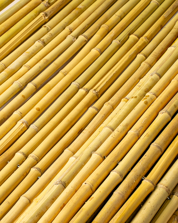 Round Bamboo Fence