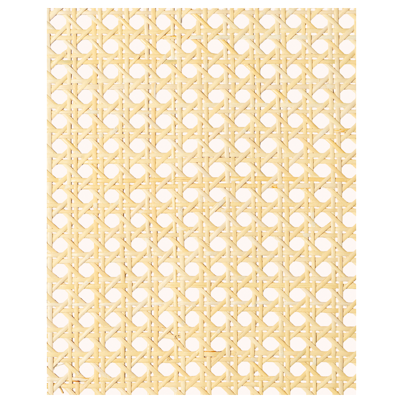 1 Mesh Cane Webbing