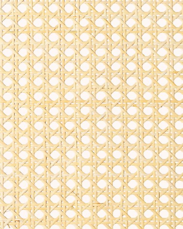 1 Mesh Cane Webbing