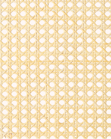 1 Mesh Cane Webbing