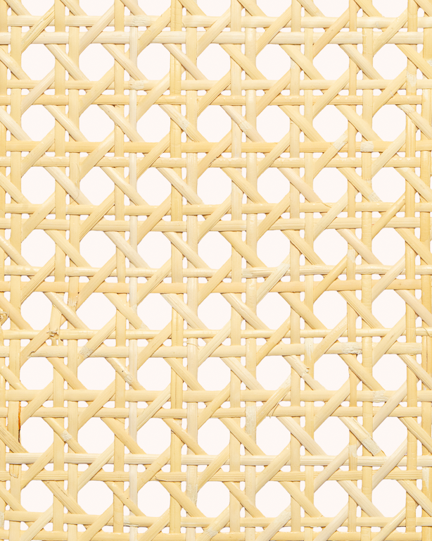 1 Mesh Cane Webbing