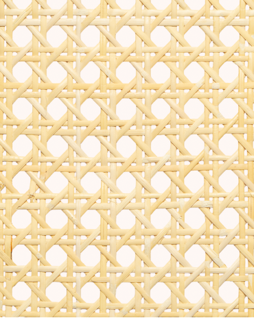 1 Mesh Cane Webbing