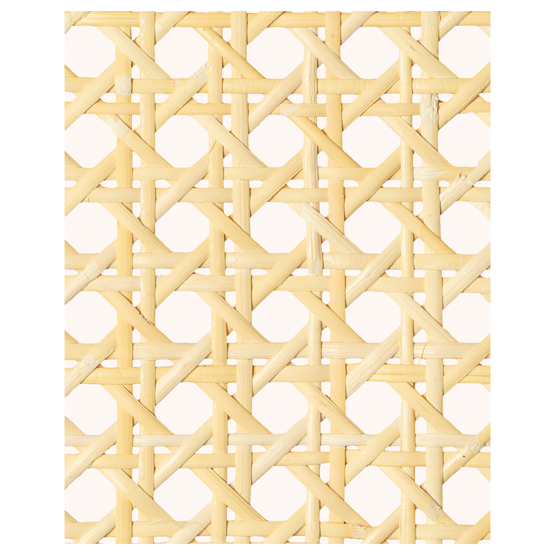 1 Mesh Cane Webbing