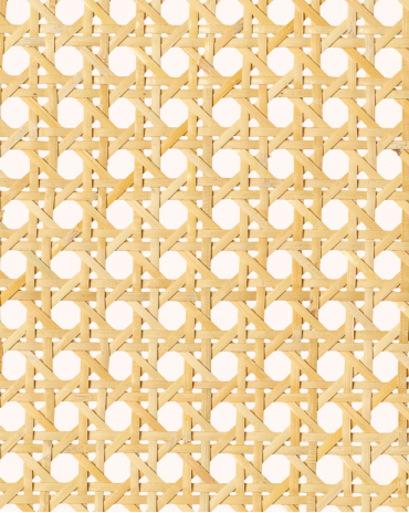 5/8 Mesh Cane Webbing