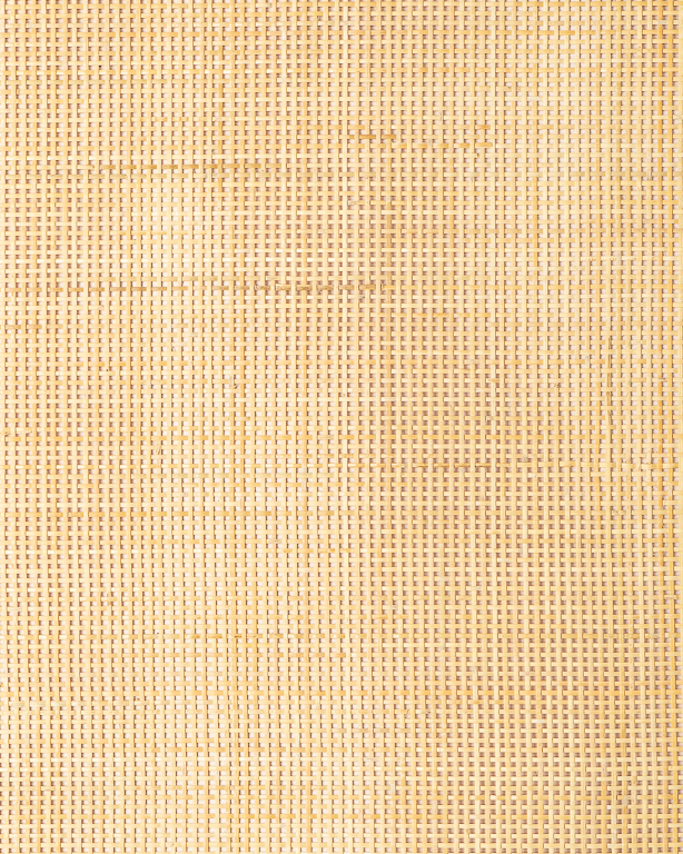 Tissage Ajouré Canne Rotin Naturel 2x2.2mm