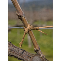 Winegrowers