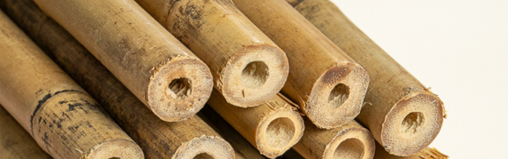Bambou Naturel – Décoration et Jardin | Maison Douineau