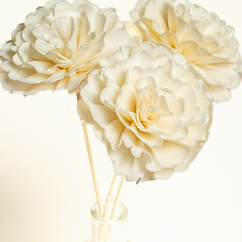 Decorative Sticks