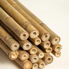 Plant Stakes