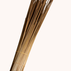 Coloured Rye Straw