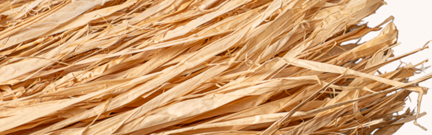 Raphia Naturel – Vannerie, Créatif | Maison Douineau
