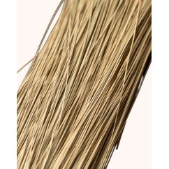 Herbe de mer